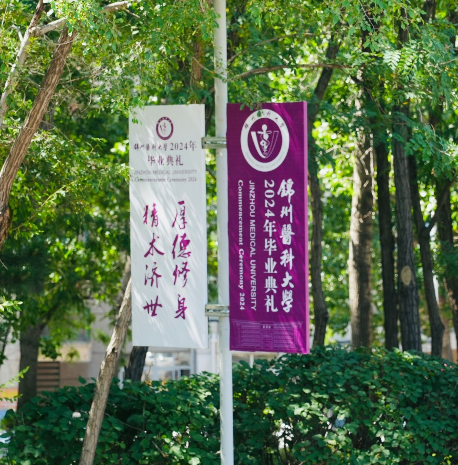 2024毕业季 |毕业主题园区装扮一新·定格最美青春记忆